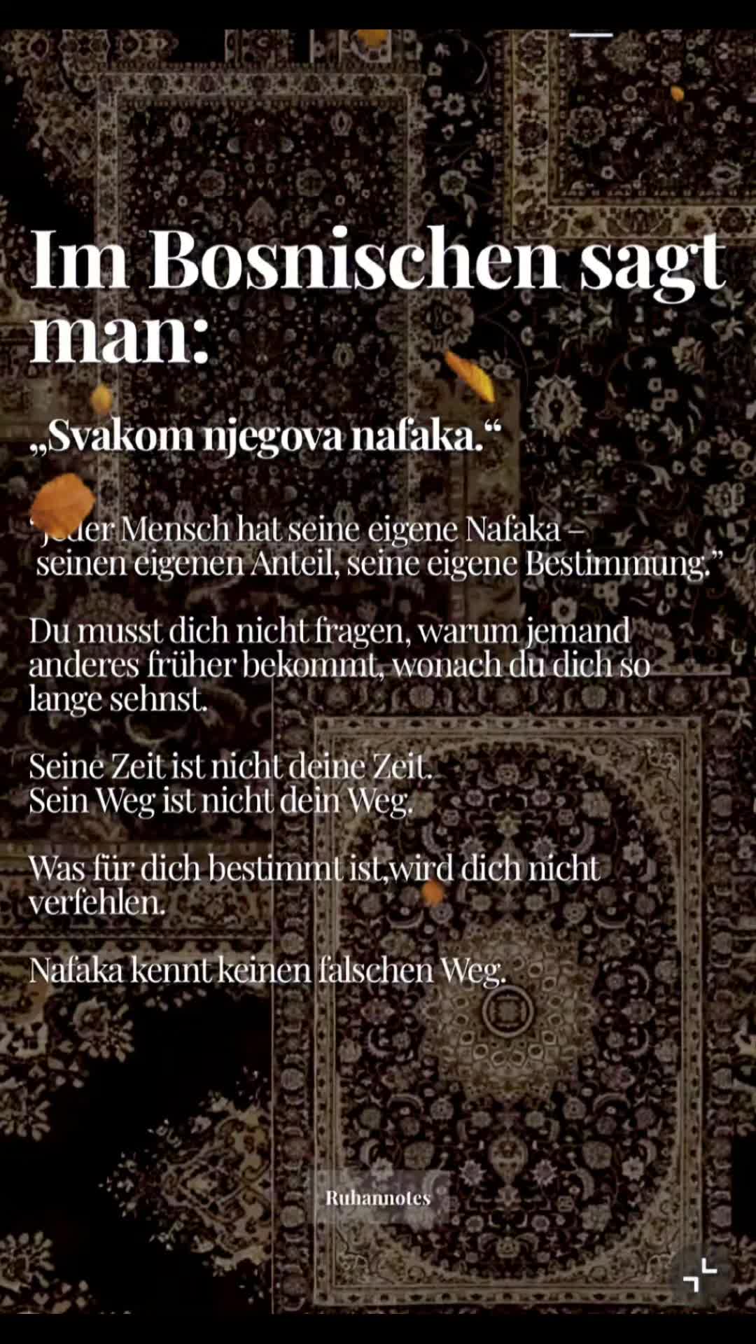 @elbabo🇩🇪
