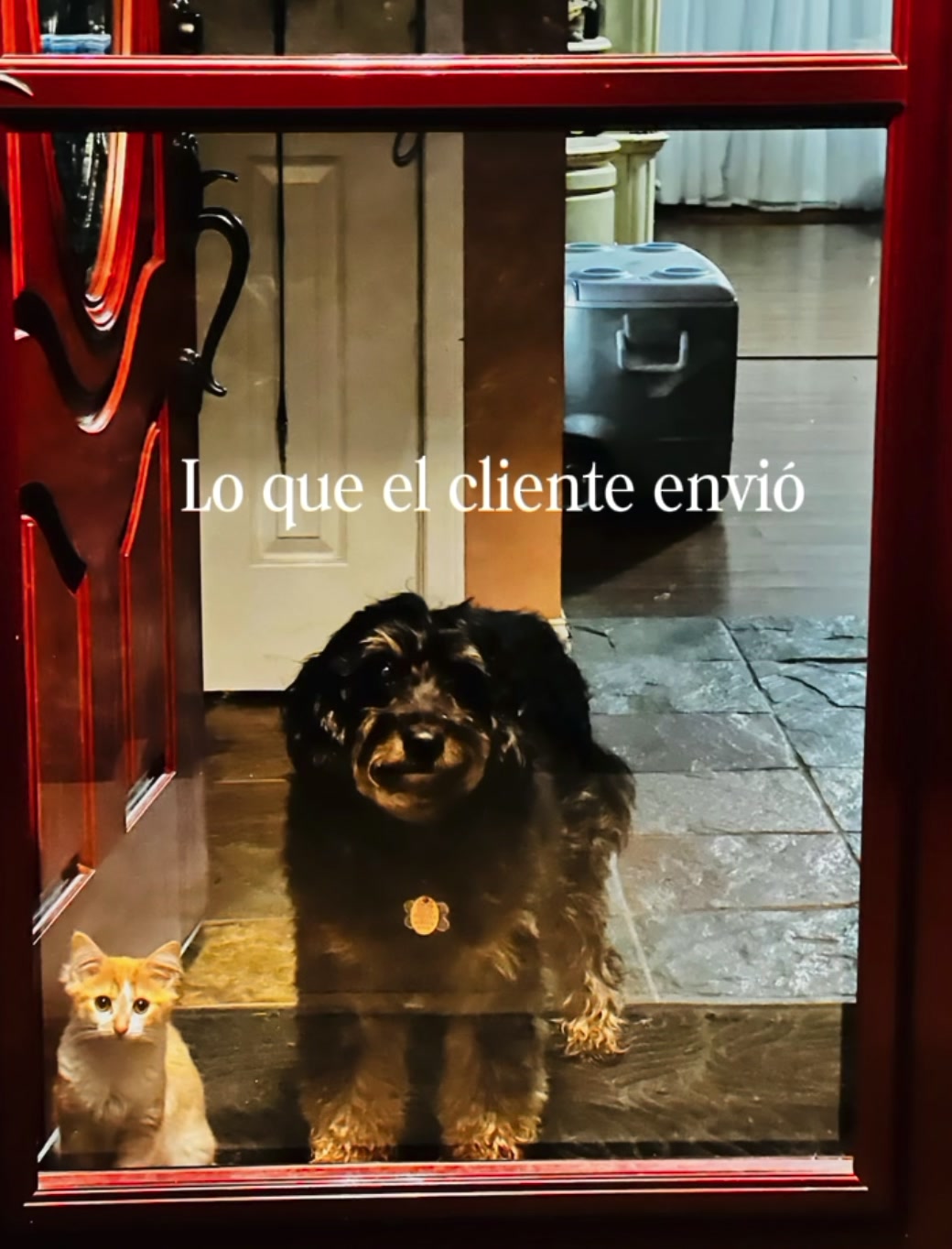 @Lëxãnîs D'Xãndêr