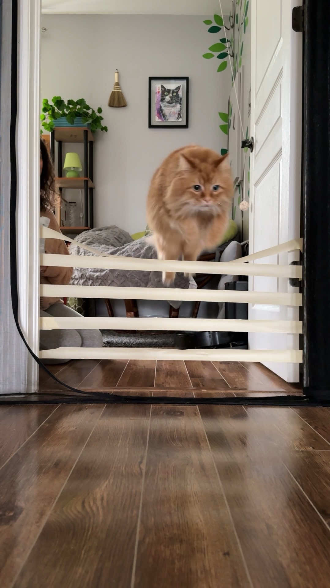@The Oreo Cat