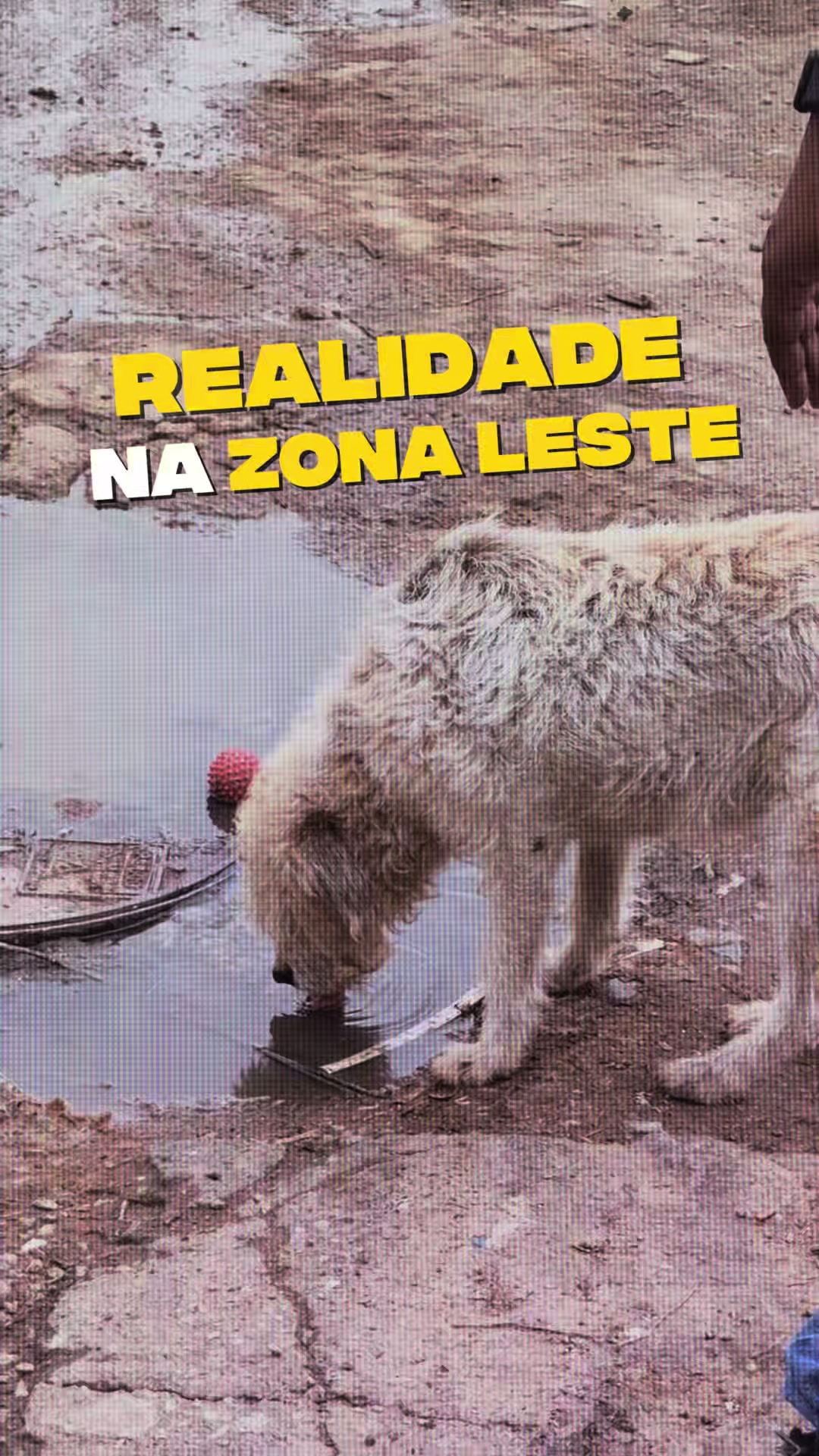 @Mateus do Gueto