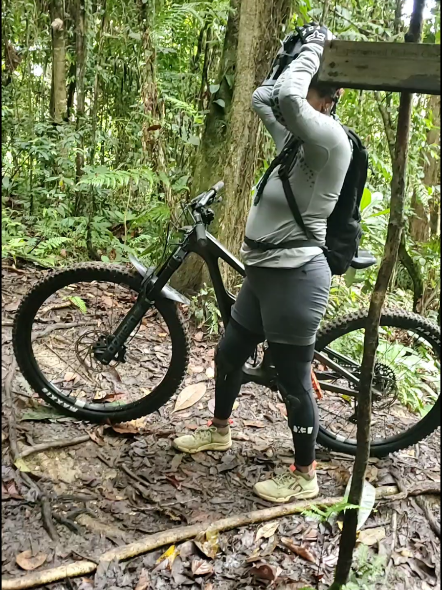 @nigelschelborn007