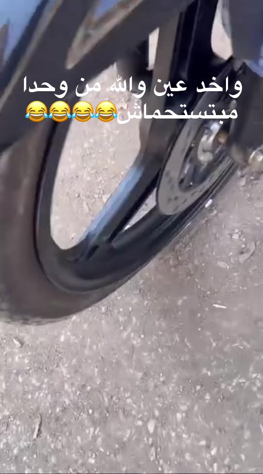 @๐ชฌ๐
ฤค_Ê_M_Â๐
๐ชฌ