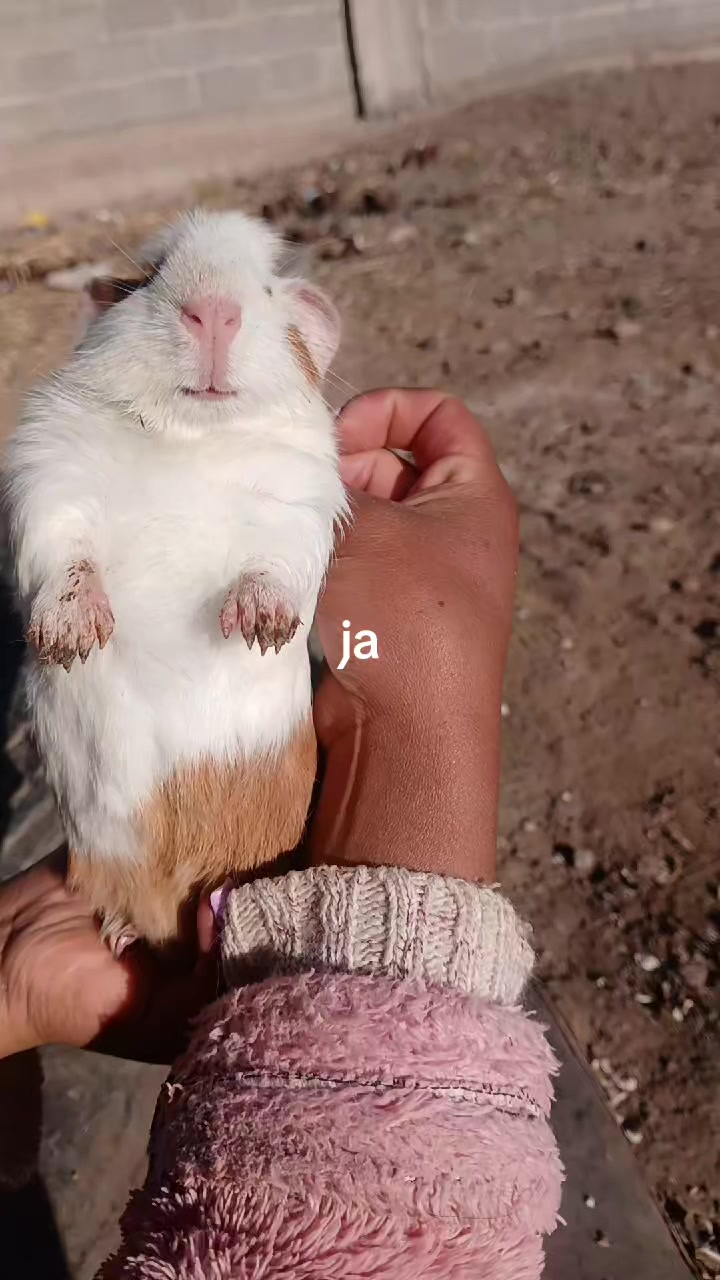 @😍quelindha😍