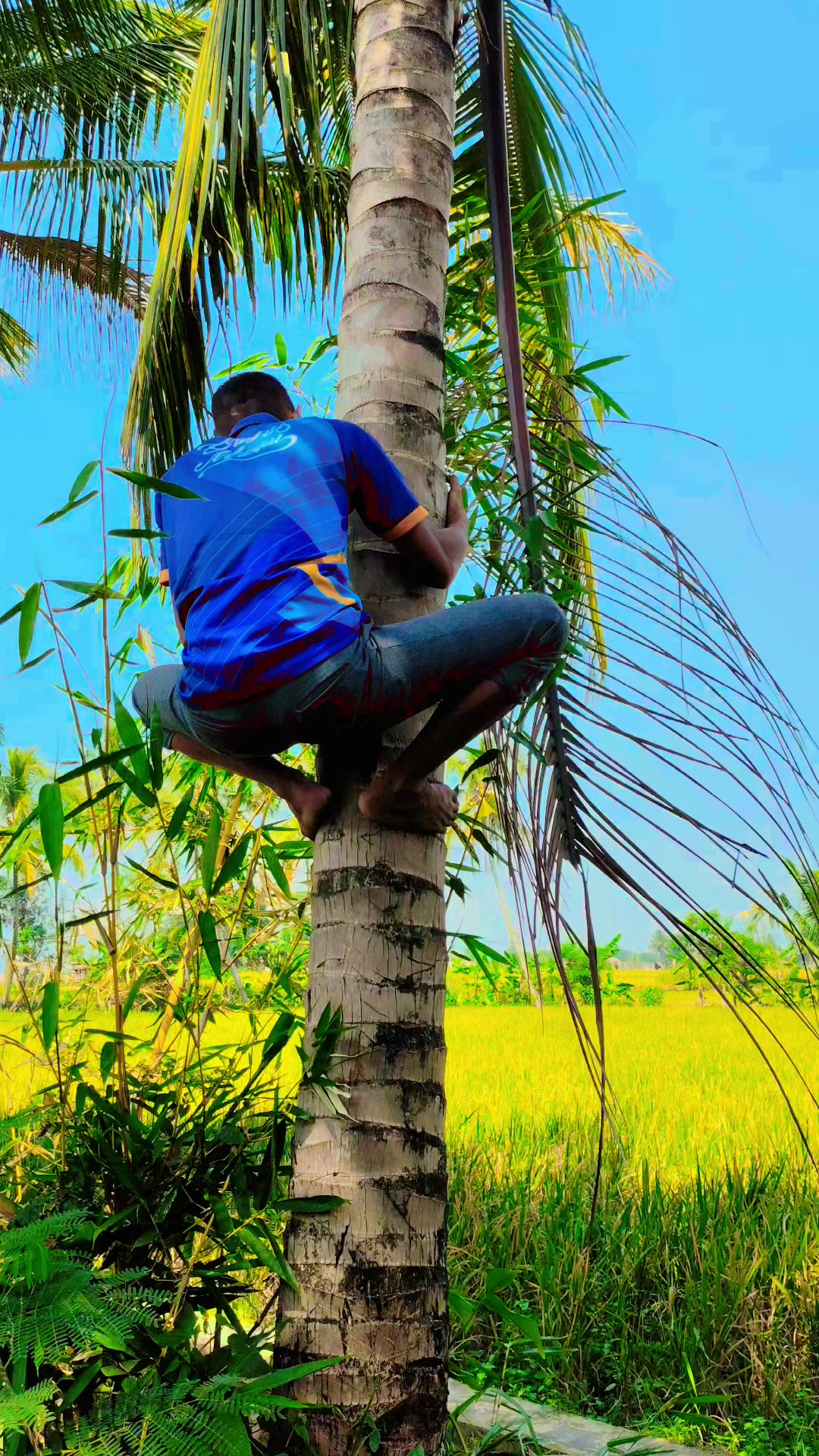 @Andi Setiawan