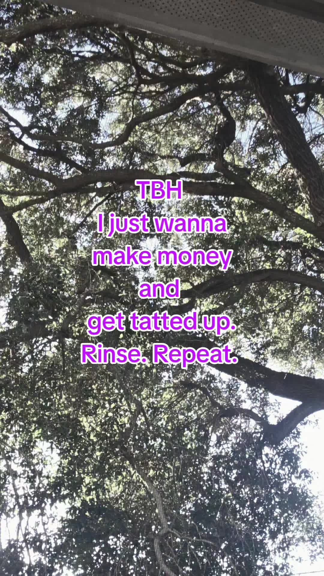 @❌️AJ Rook ✨️