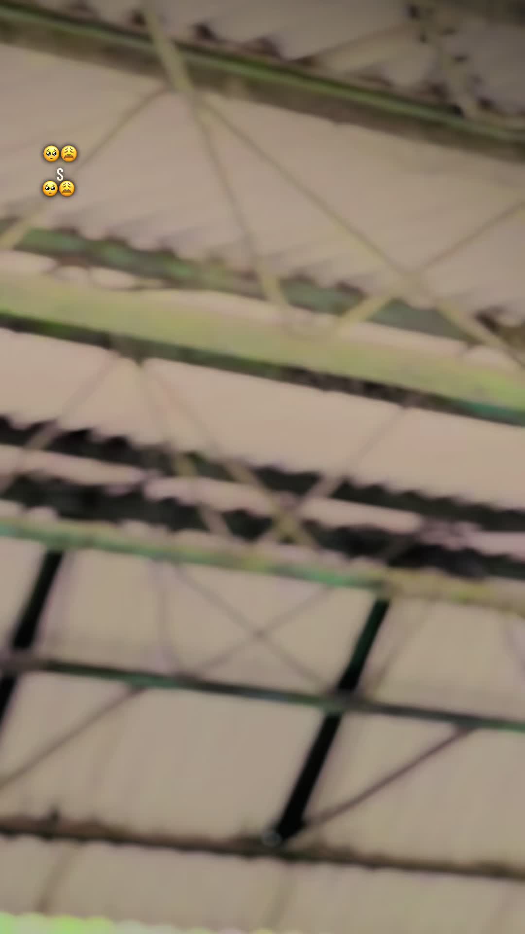 @𓂀 𝕂𝔸𝕊ℍ𝕄𝕀ℝ𝕐 𝔹ℝ𝔸ℕ𝔻 𓂀