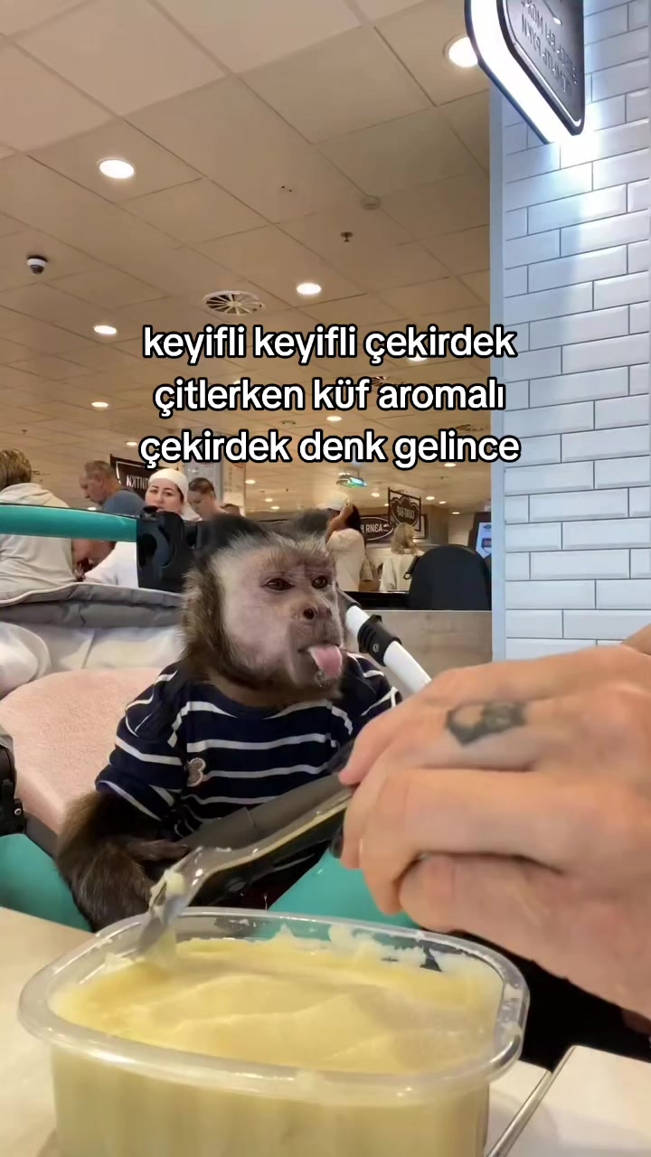 @rolland