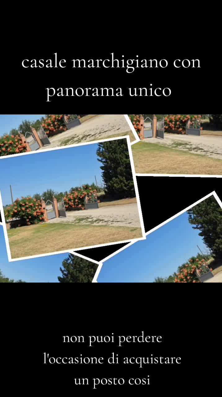 @mirta