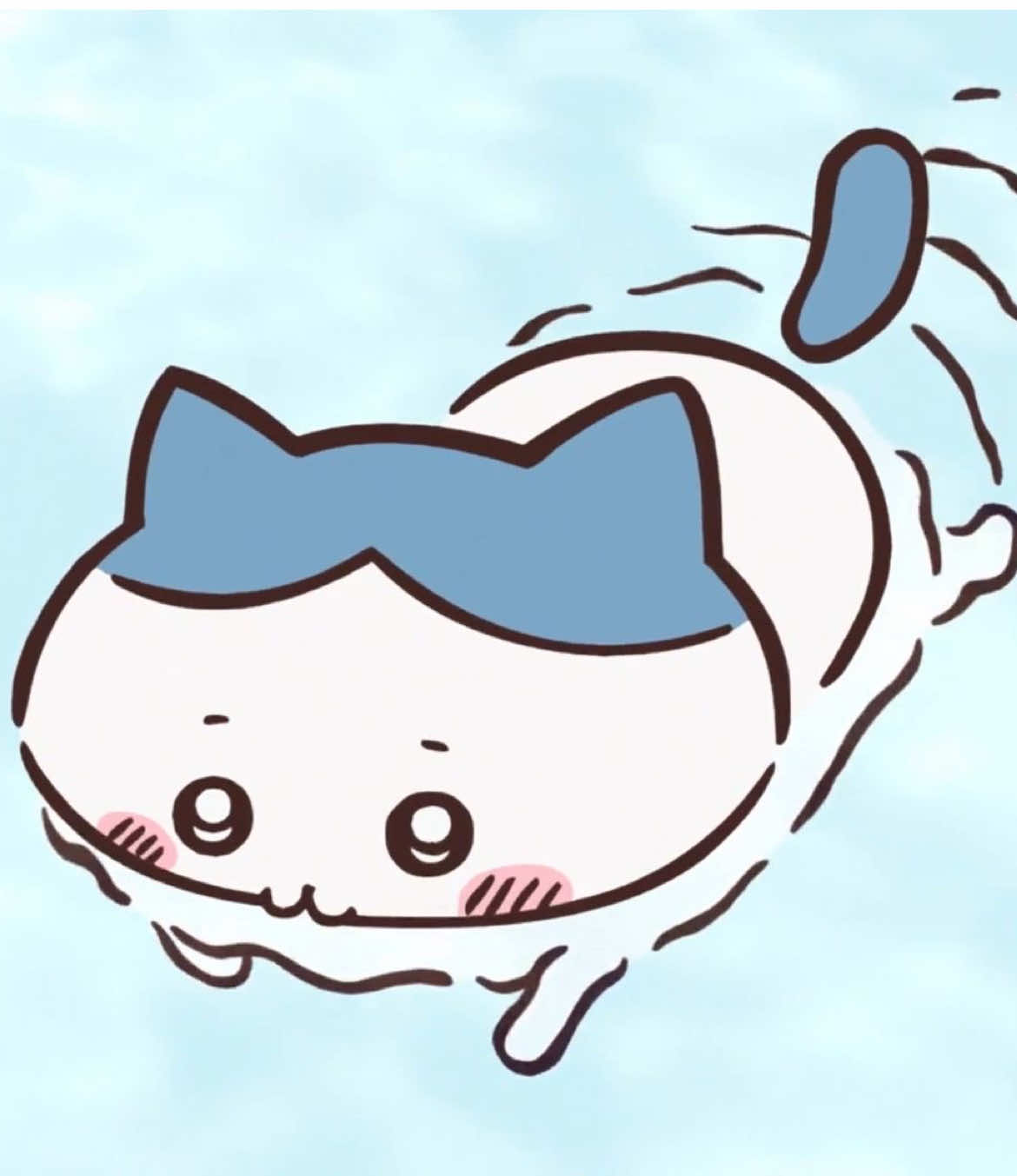 @hachiware