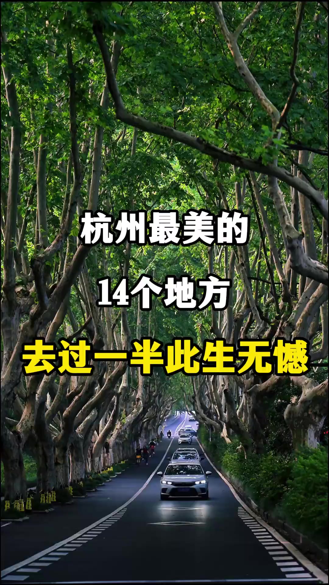 @中国青年