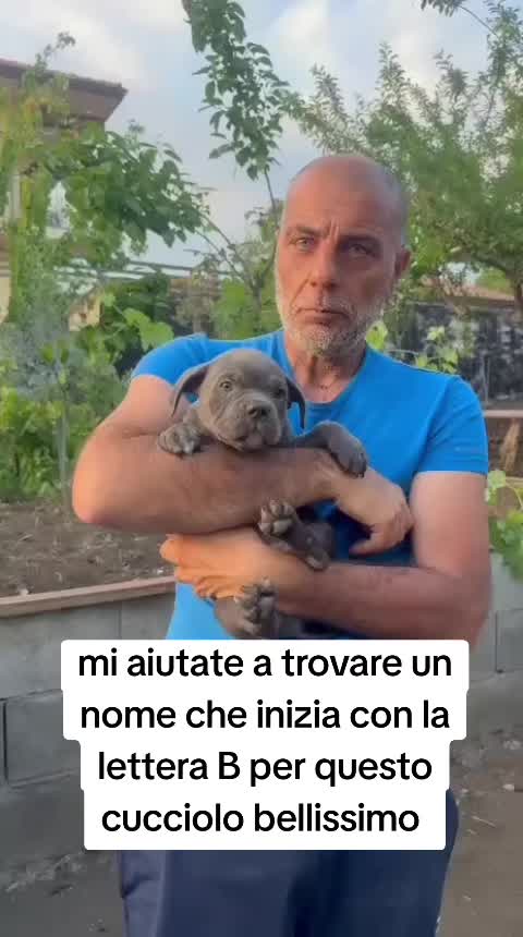 @Alfio Arcifa Magistrale