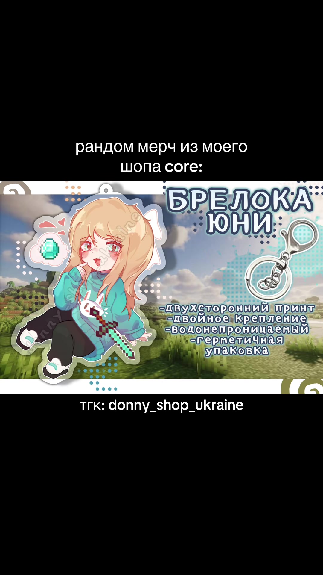 @🇺🇦мерч по майн фд в Украине