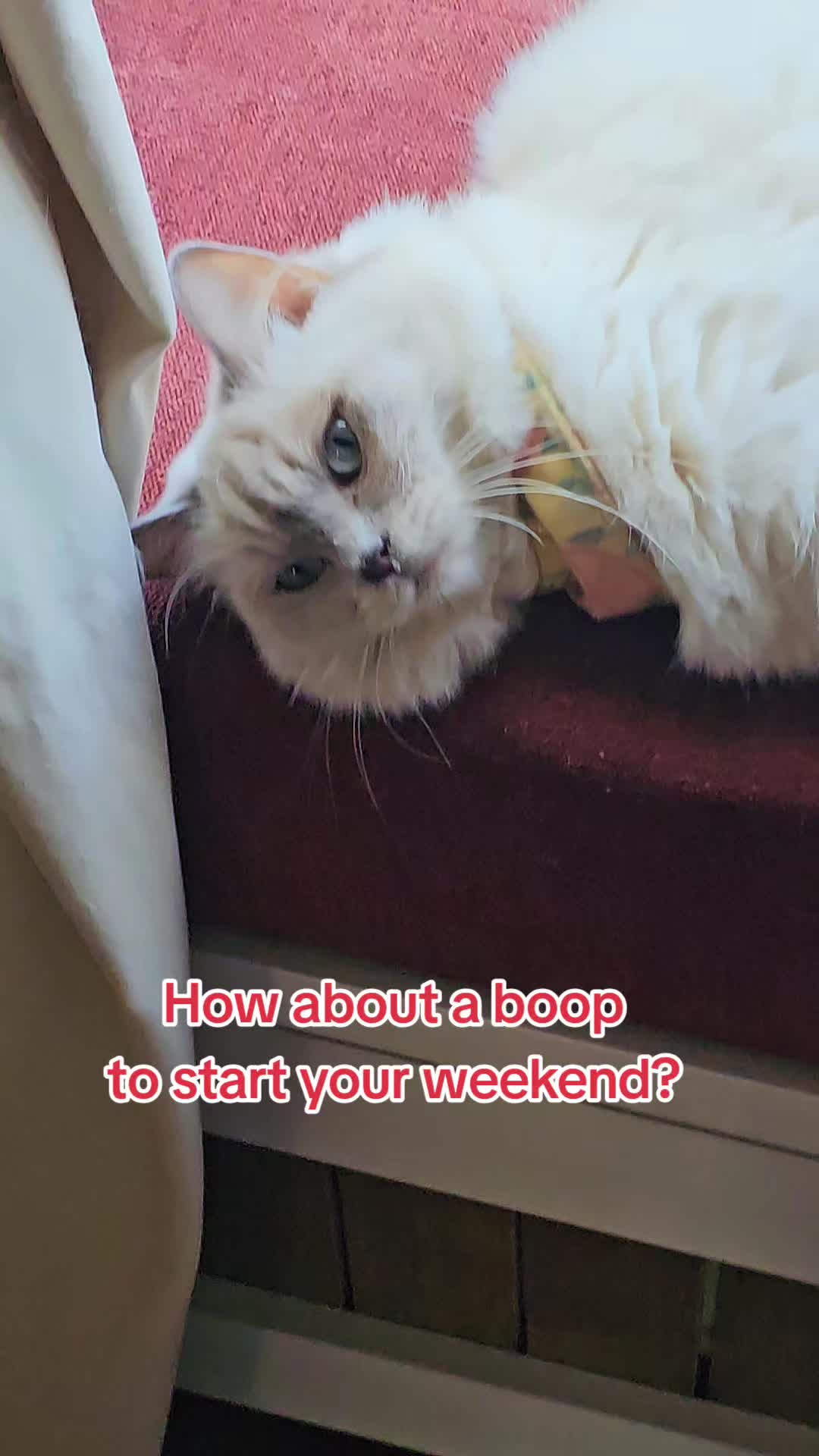 @peachandbeer