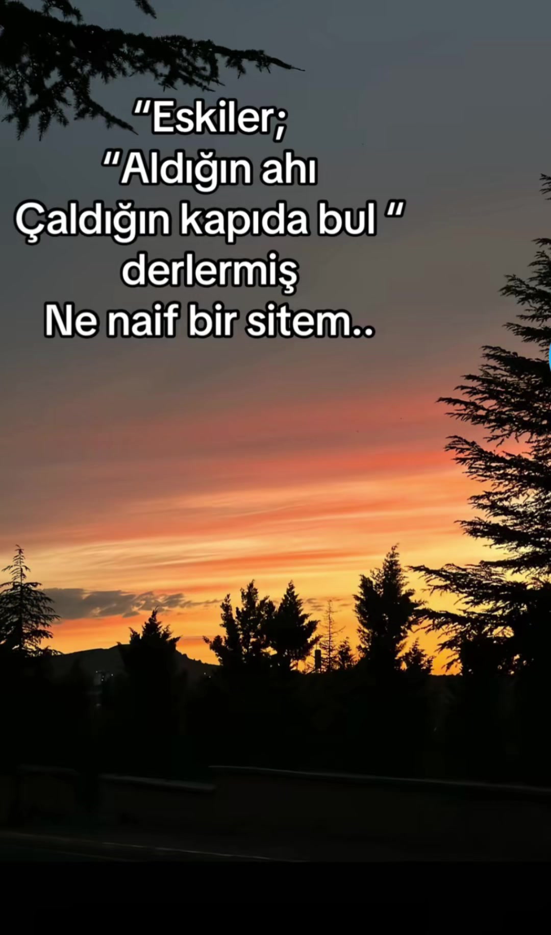 @İbo Aloğlu