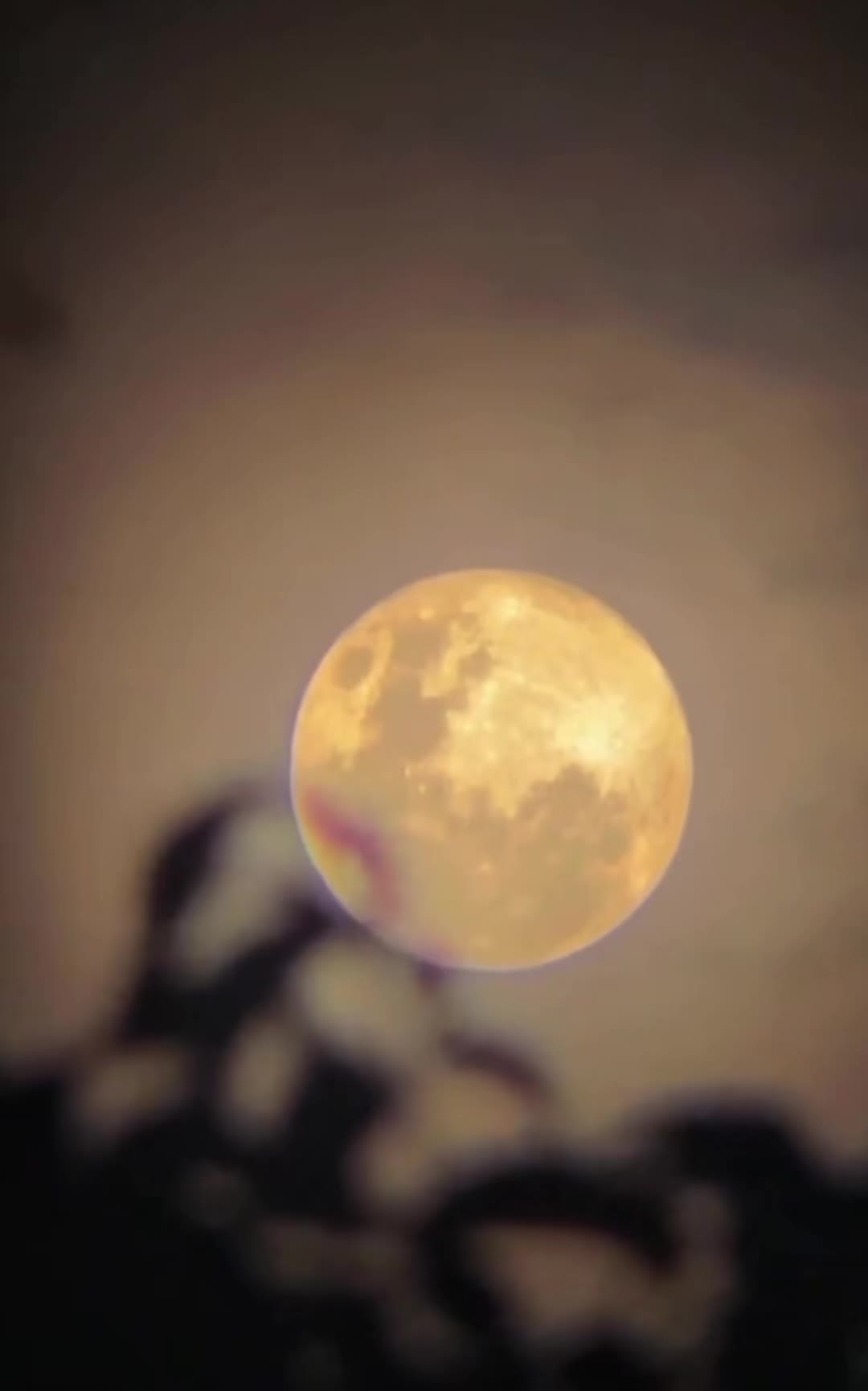 @𝓚𝓻𝓲𝓼3366🇵🇱👑🔊🇩🇪