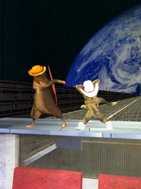 @Gato Donato