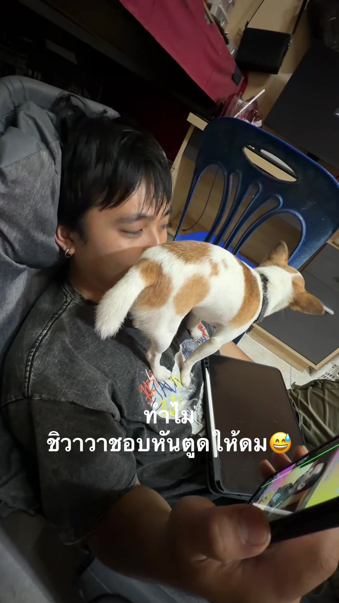 @บิ๊กบอสลูกมีน่า🐶