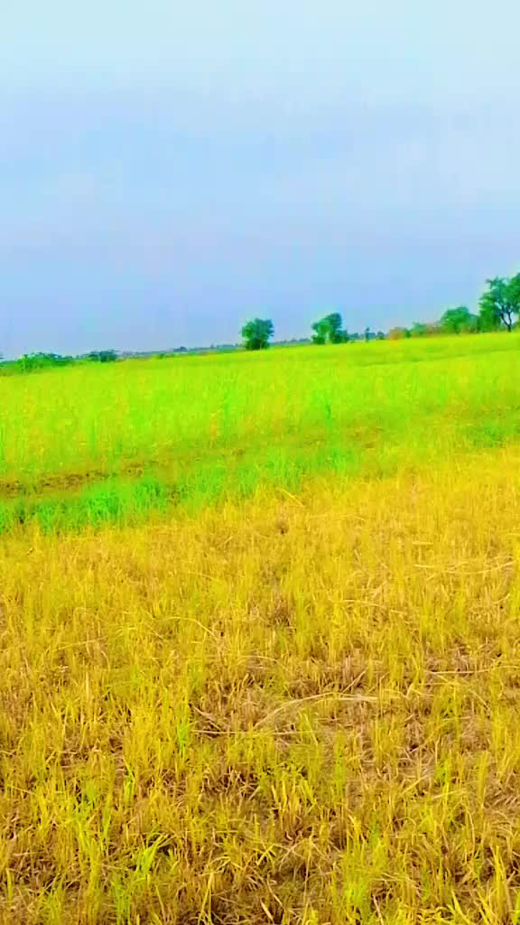@devraj