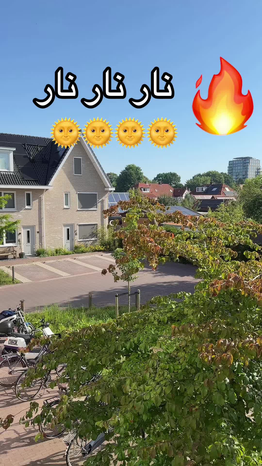 @+31🇳🇱 ⵣ