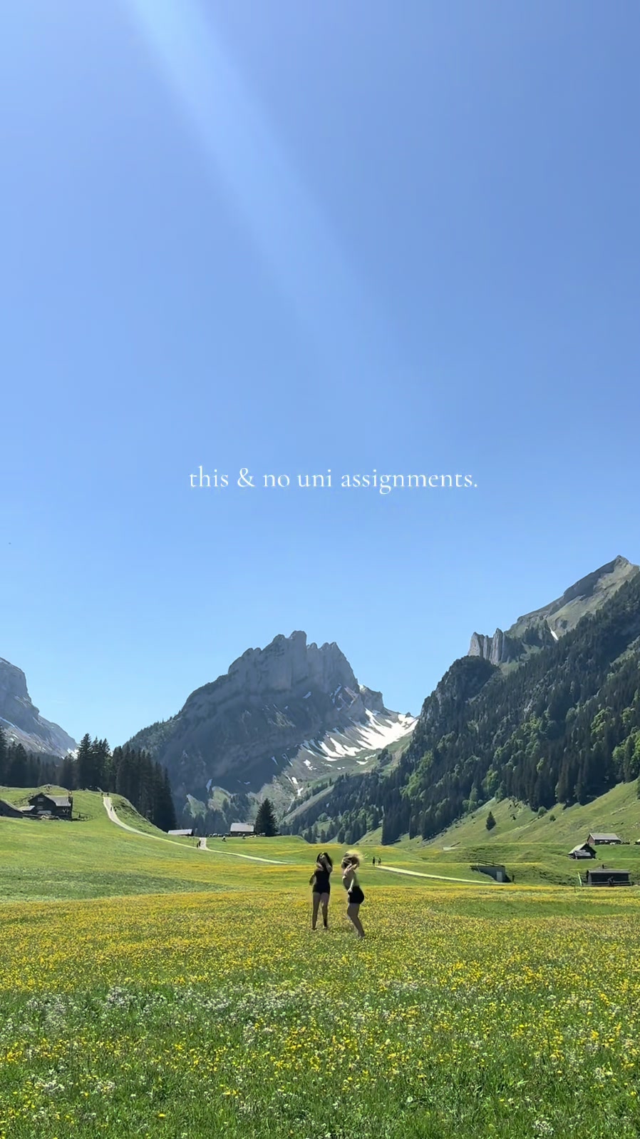 @pitzi