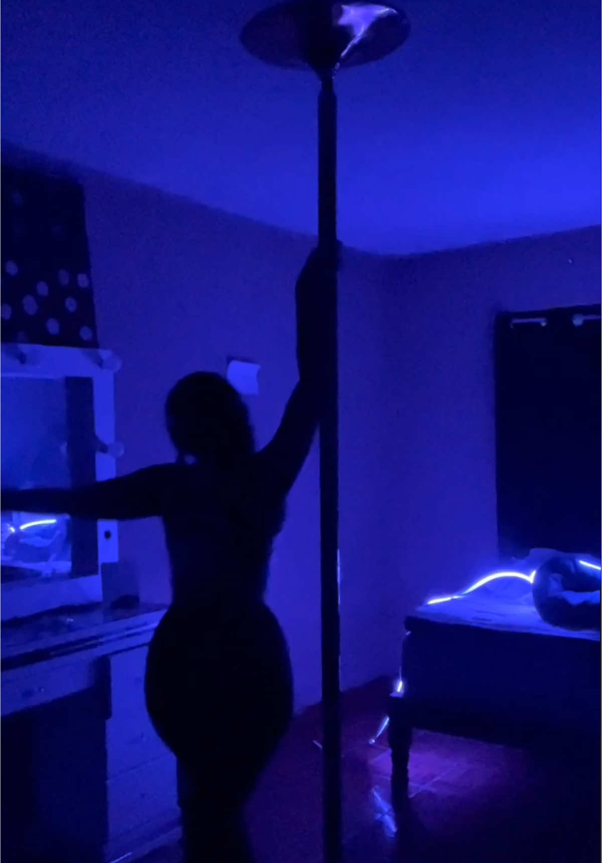 @evelinruiz1325