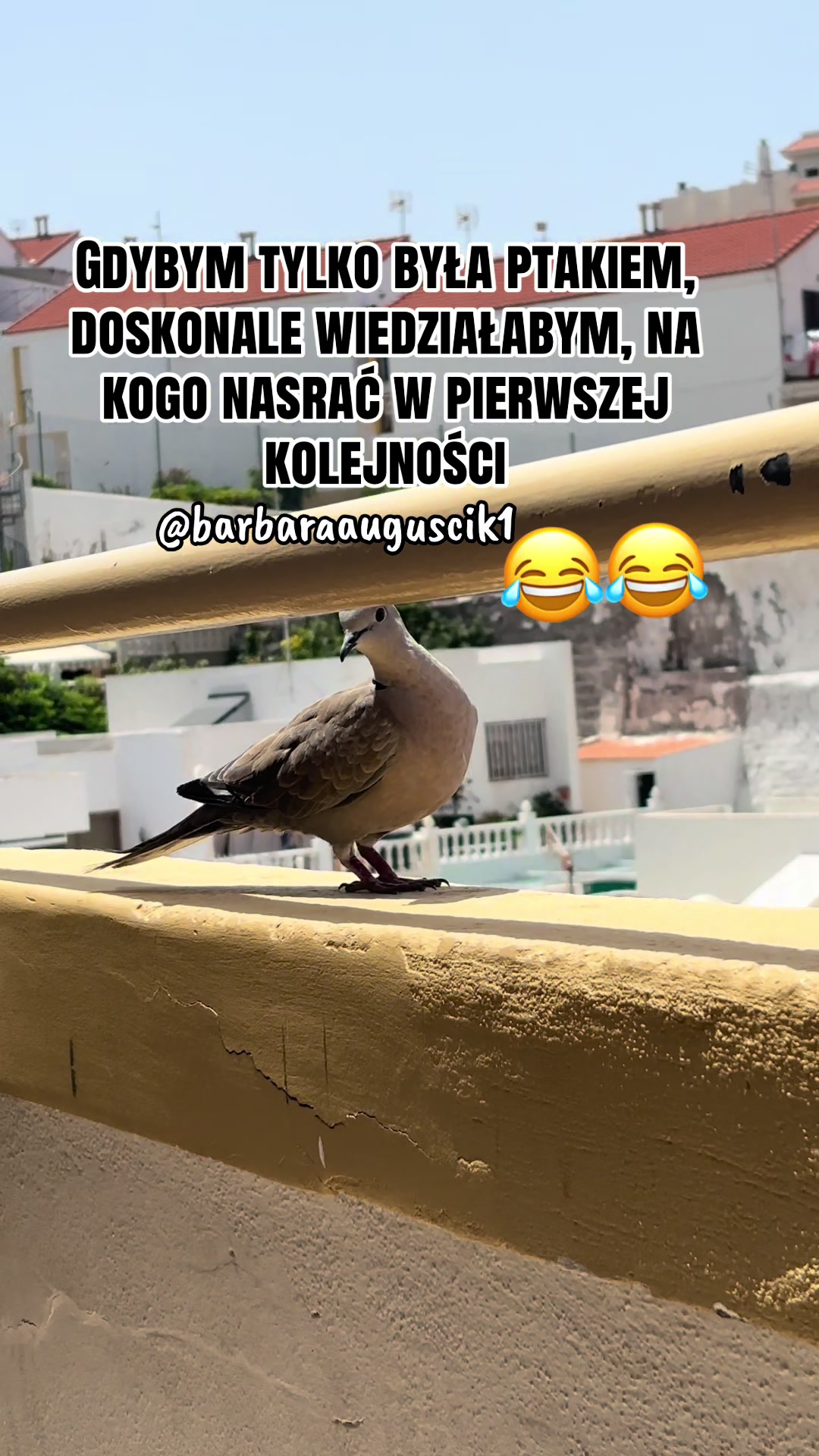 @barbaraauguscik1🇵🇱🇩🇪