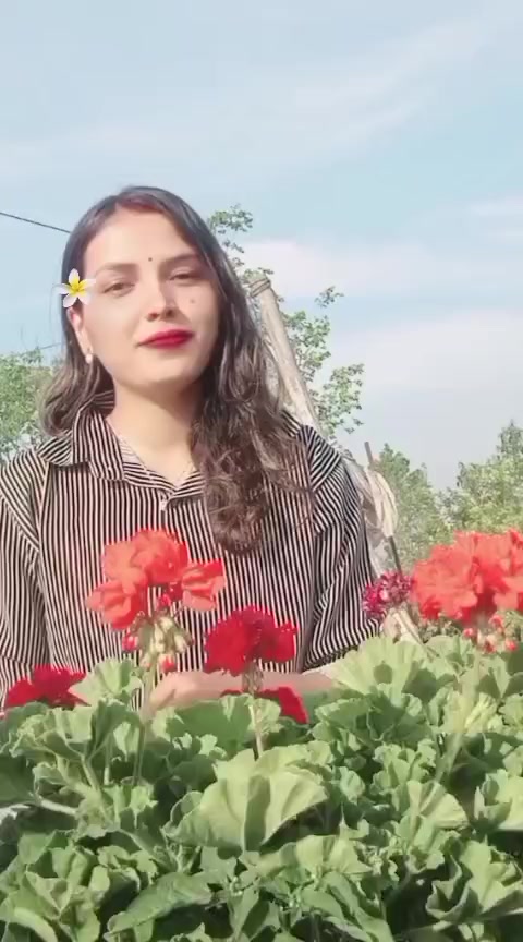 @$sapana@
