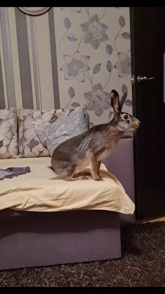@зайка Блума💋