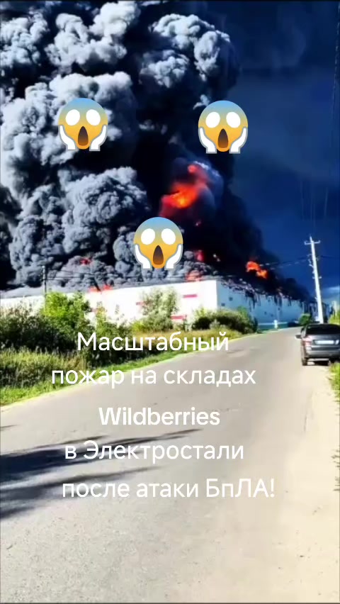 @haliina5