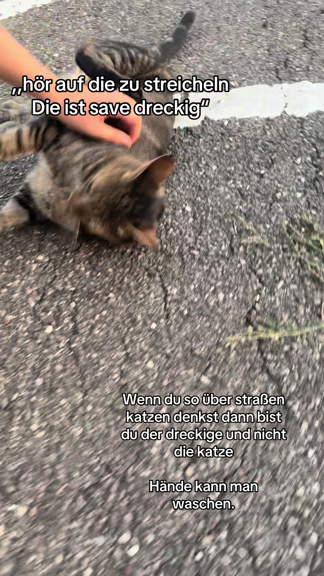@𝐔𝐬𝐞𝐫’🤍