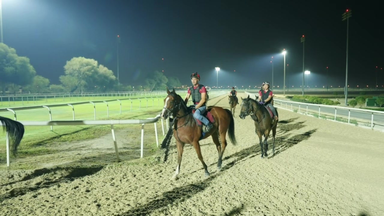 @Bahrain Turf Club