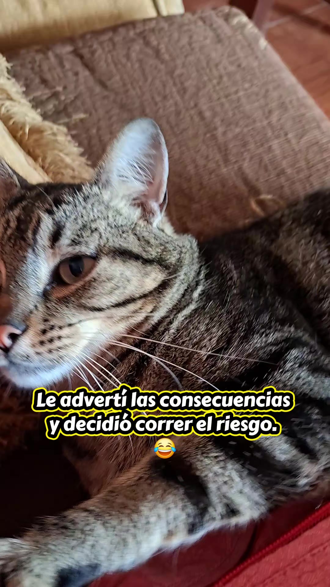 @Mary