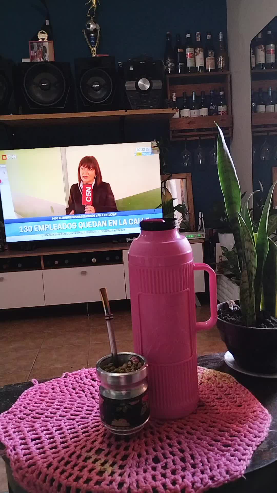 @alileiva ✨🌺🫀🧠🥂