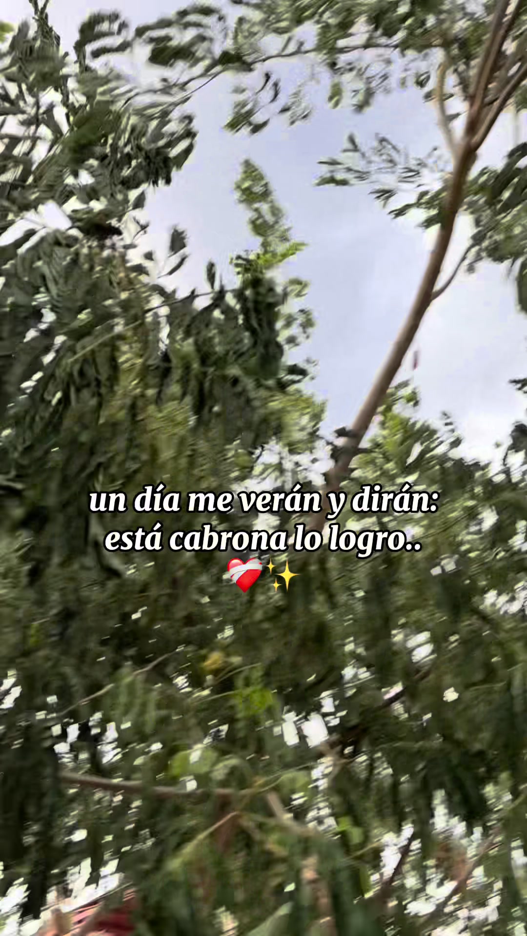 @MONSE CASTILLO