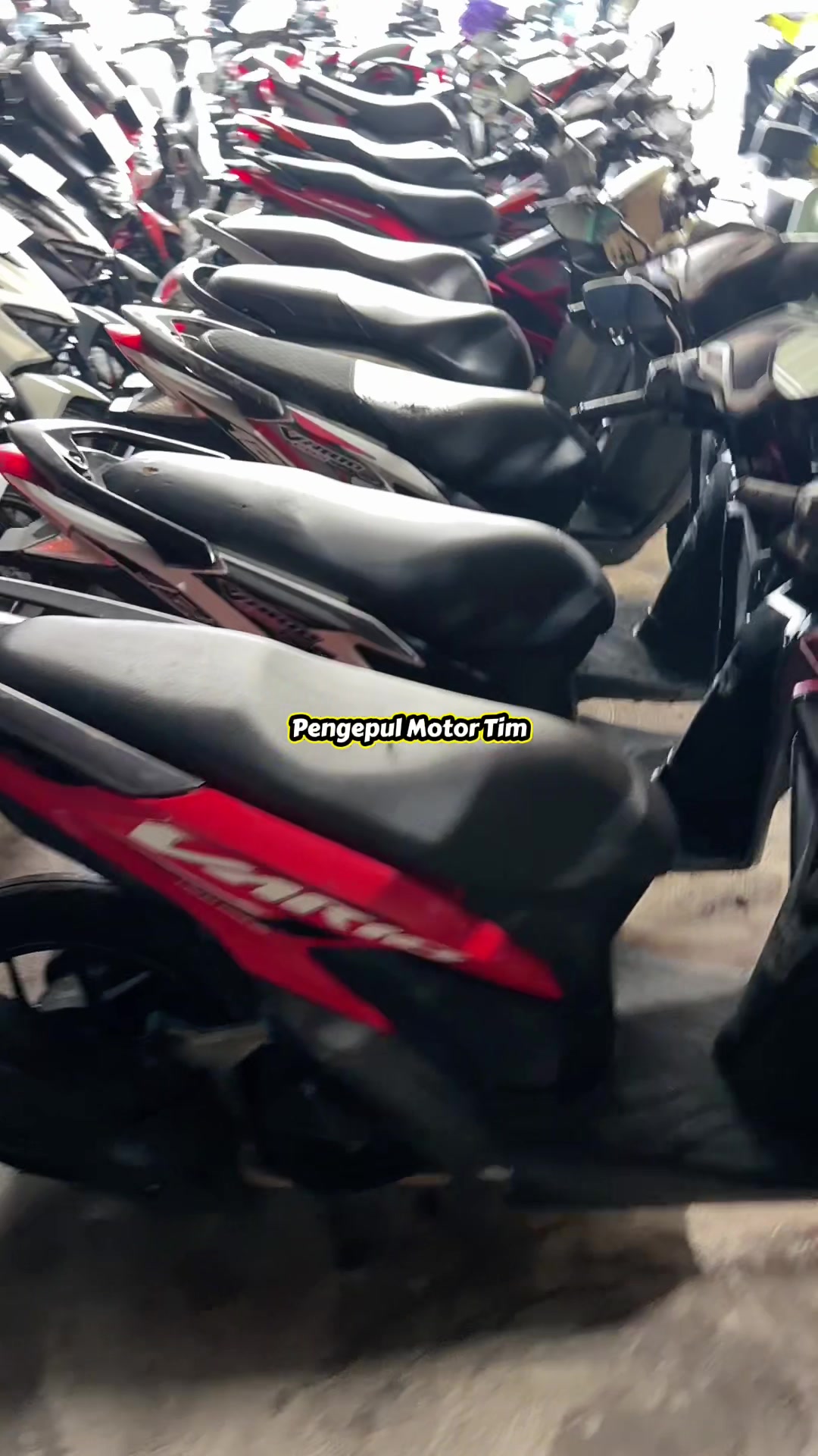@pengepulmotortim