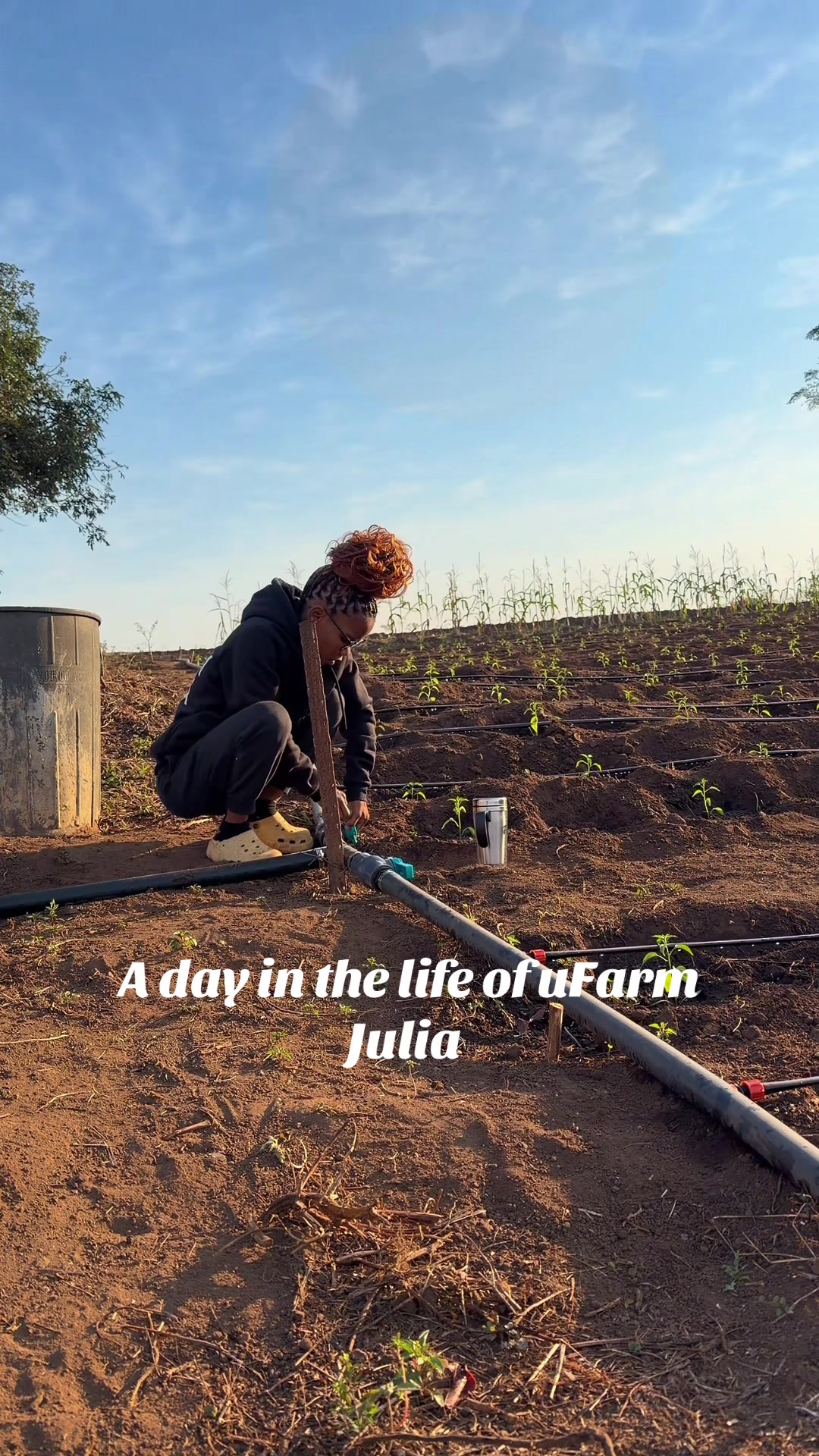 @ufarm_julia