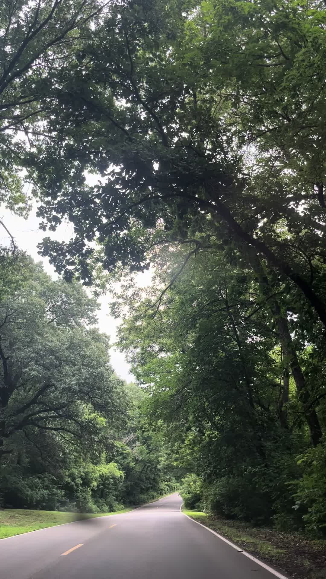 @TheChelseaTeater