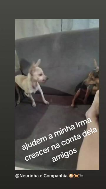 @PATYSOUSAOFICIAL