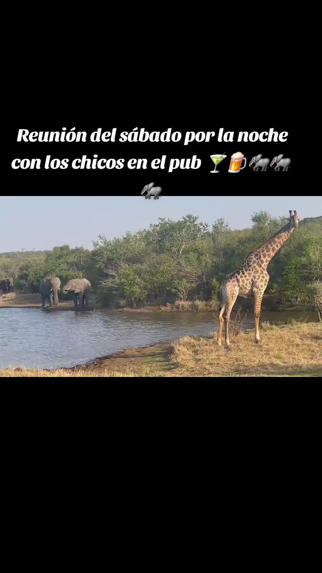 @Roxana Nunez