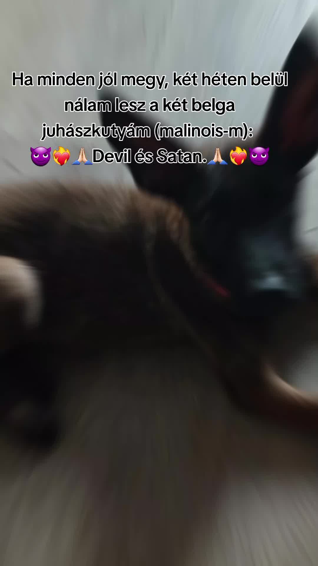 @🌹🤜❤️&zwj;🔥J.J❤️&zwj;🔥🤛🌹