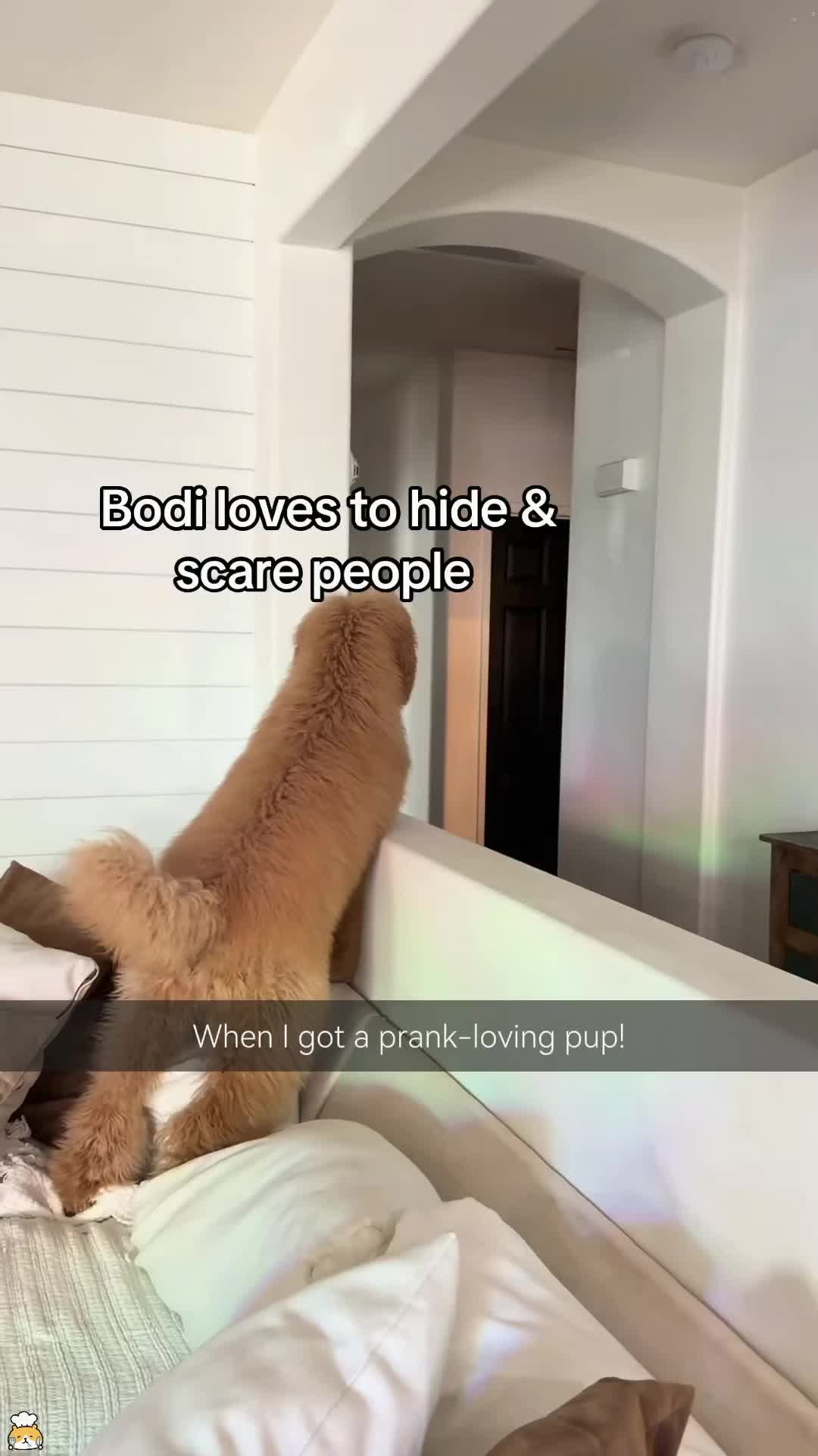 @Miao33