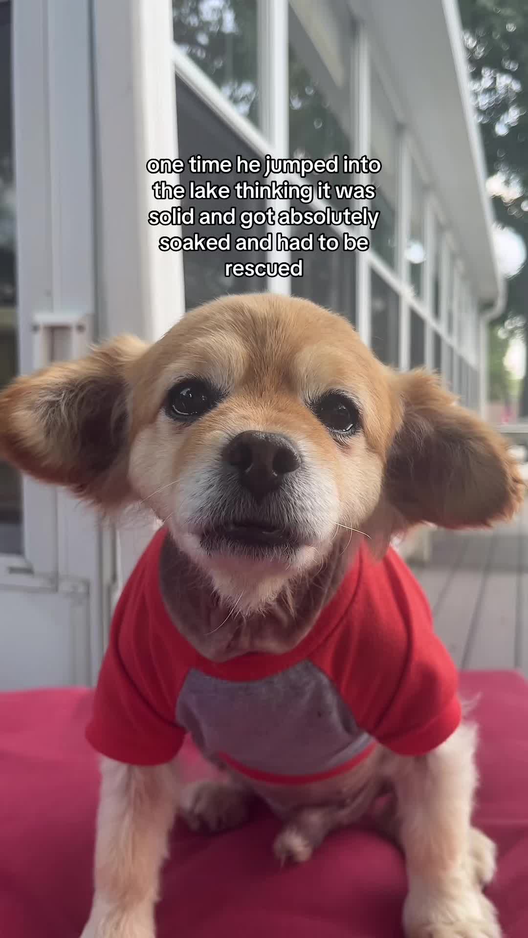 @kingpep
