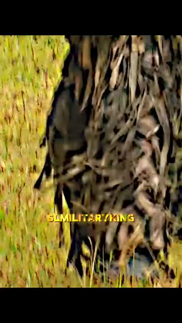 @SL MILITARY KING