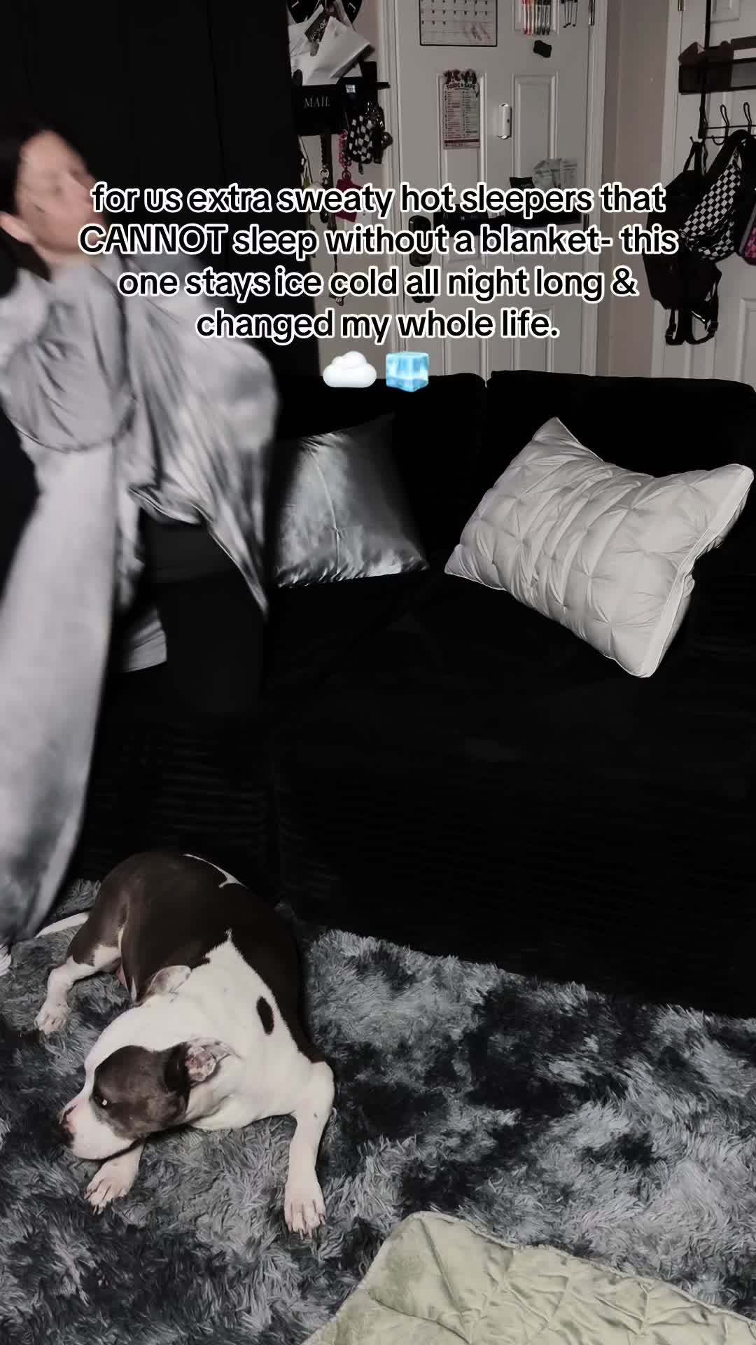 @kai_TheDogMother 🐶🐾
