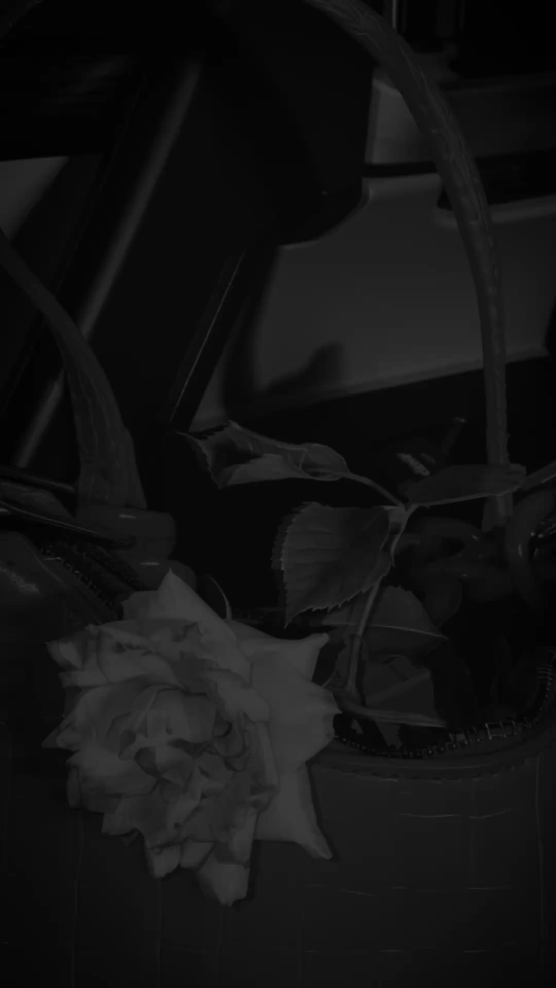 @𝐌 𝐀 𝐇