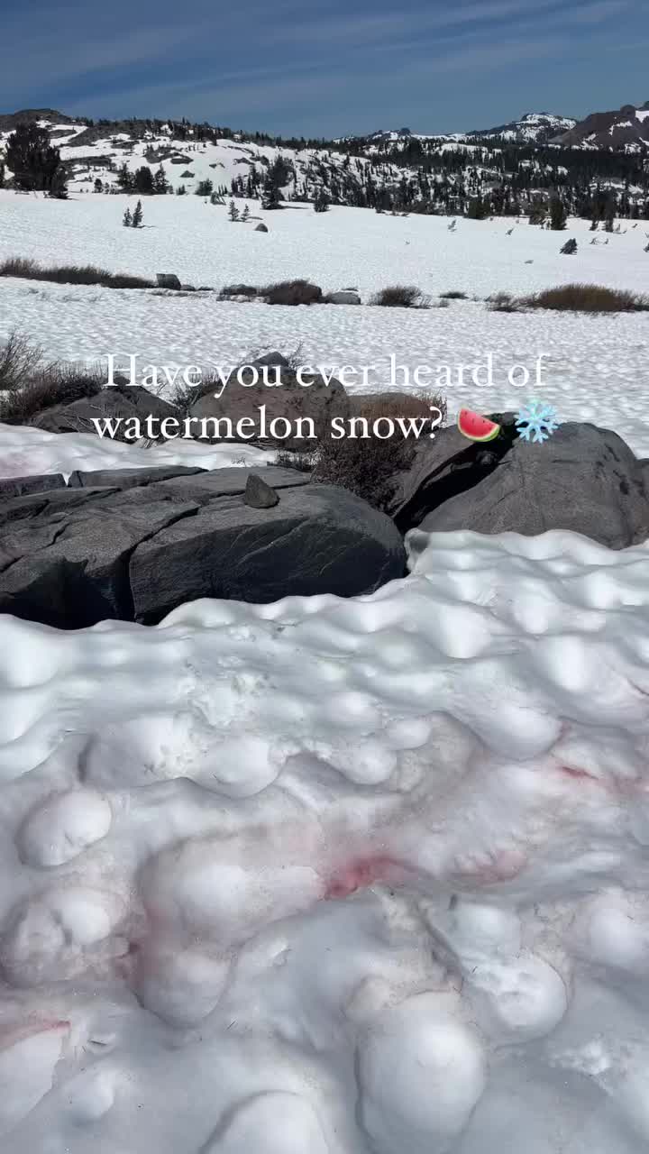 @wilderness.education