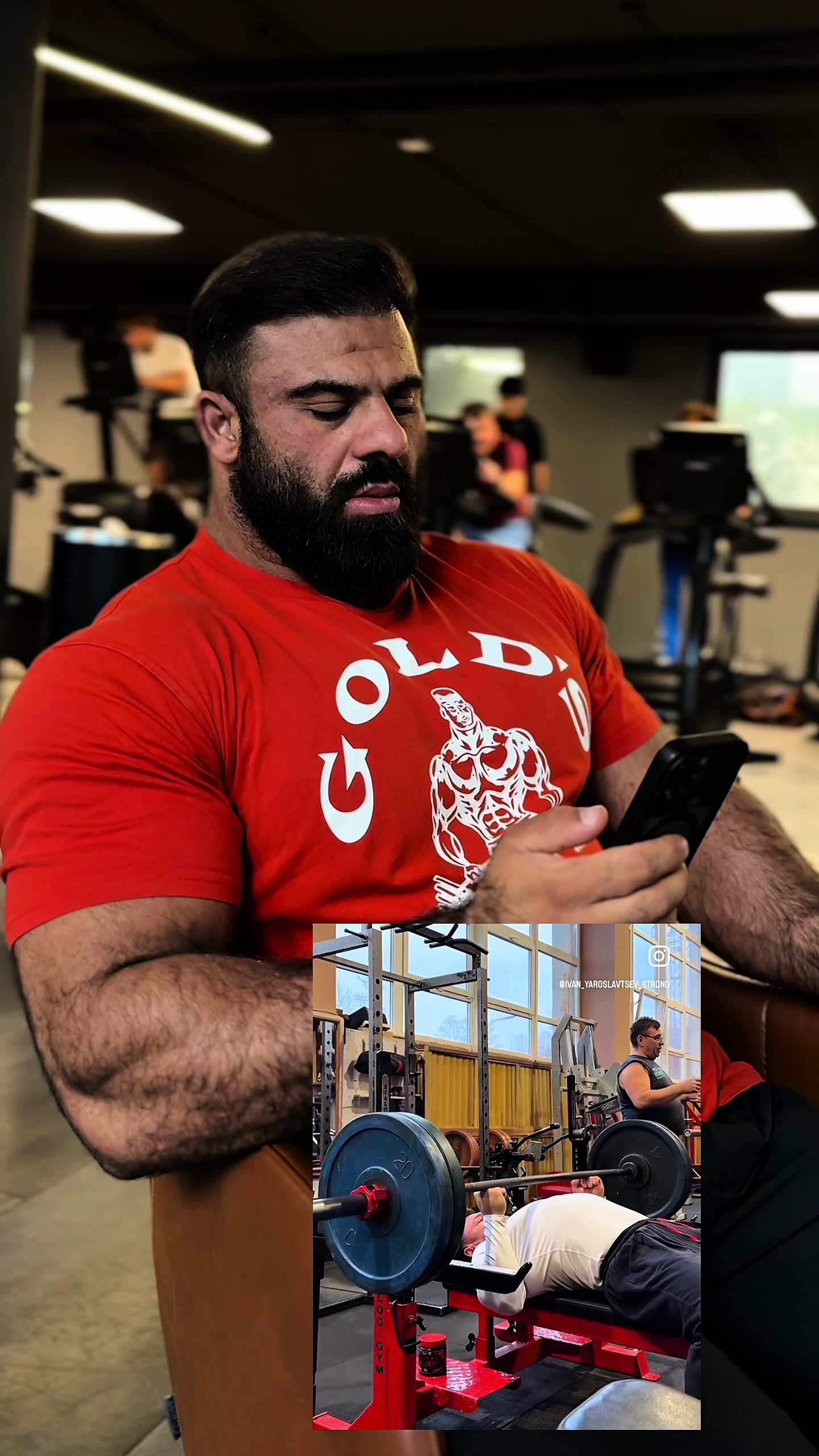 @Reza_silverback