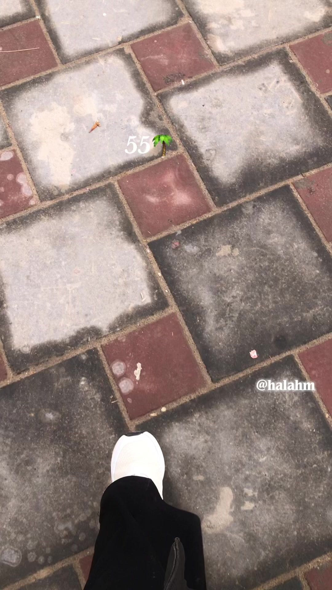 @هـــٓالٓــــةٌ🌙🐺