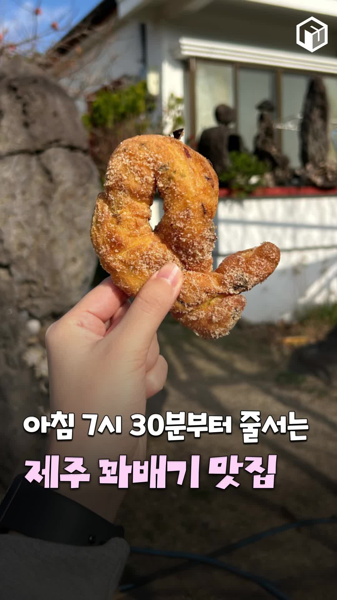 @제주톡톡