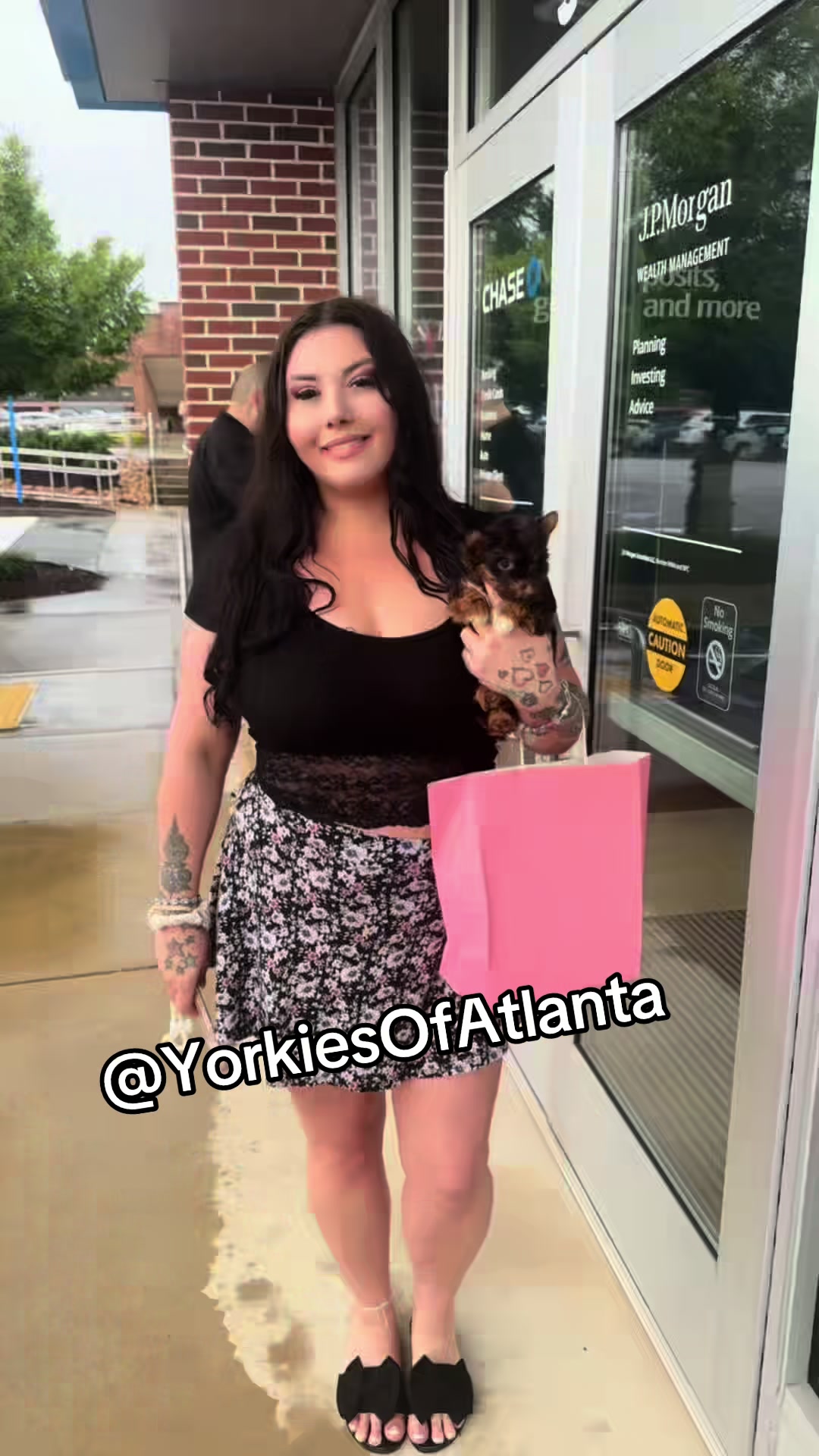 @Yorkies Of Atlanta